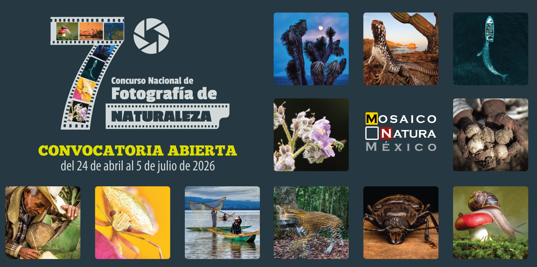 Mosaico Natura